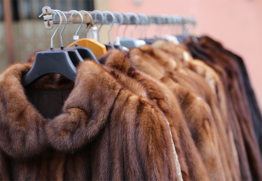 Fur storage shop