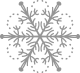 Snow Flake